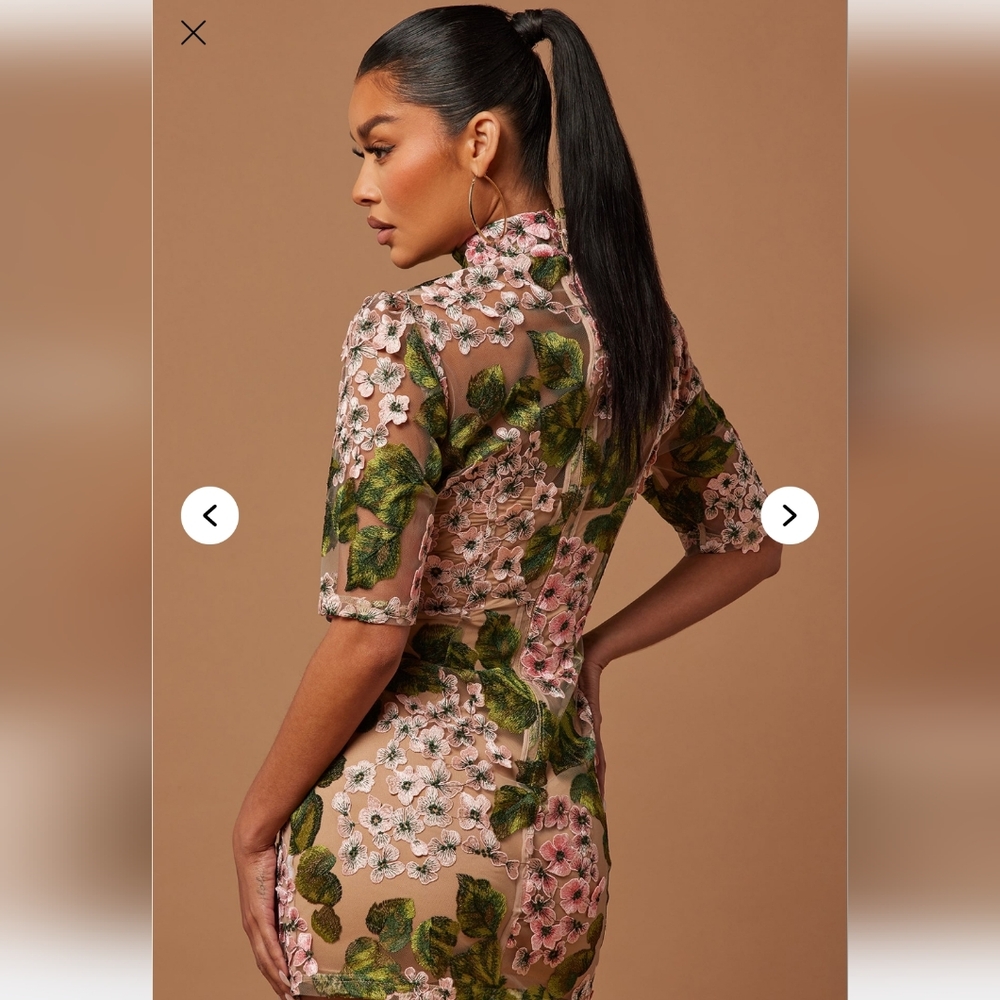 Floral Embroidered Dress